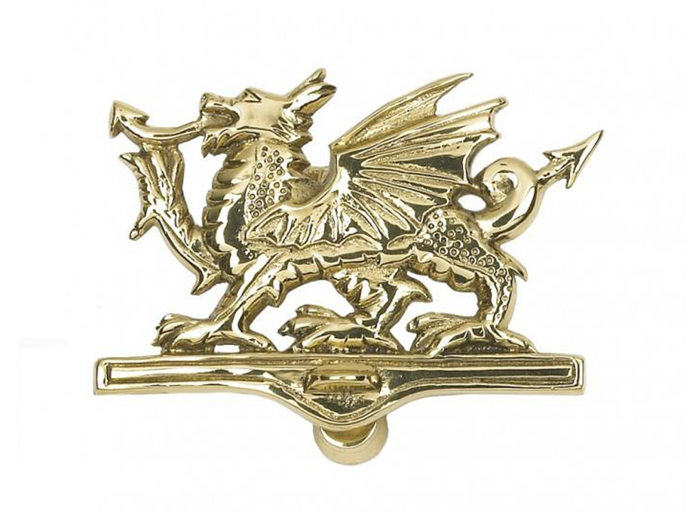 Dragon Polished Brass Knocker